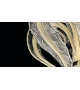 Piume Barovier&Toso Suspension