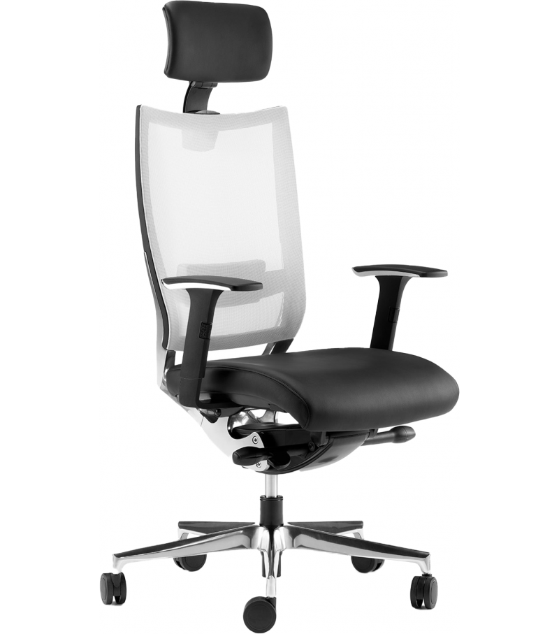 Shine Sitlosophy Fauteuil