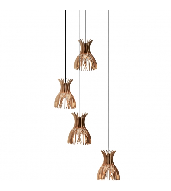 Domita Bover Suspension