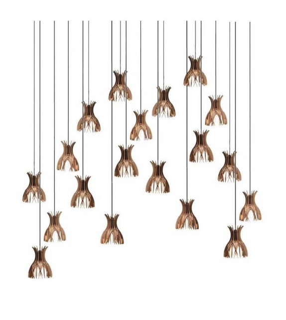 Domita Bover Suspension