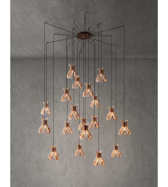 Domita Bover Suspension