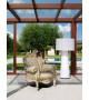 Proust Fauteuil Cappellini