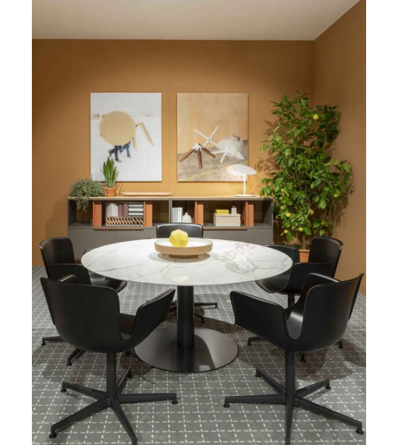 Juli Plastic Cappellini Small Armchair with 5 Star Base