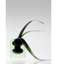 Bump Short Tom Dixon Vase