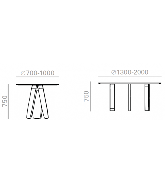 Oru Andreu World Table Ronde