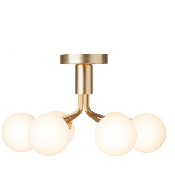 Apiales Nuura Ceiling Lamp
