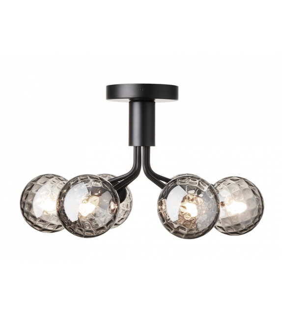 Apiales Nuura Ceiling Lamp