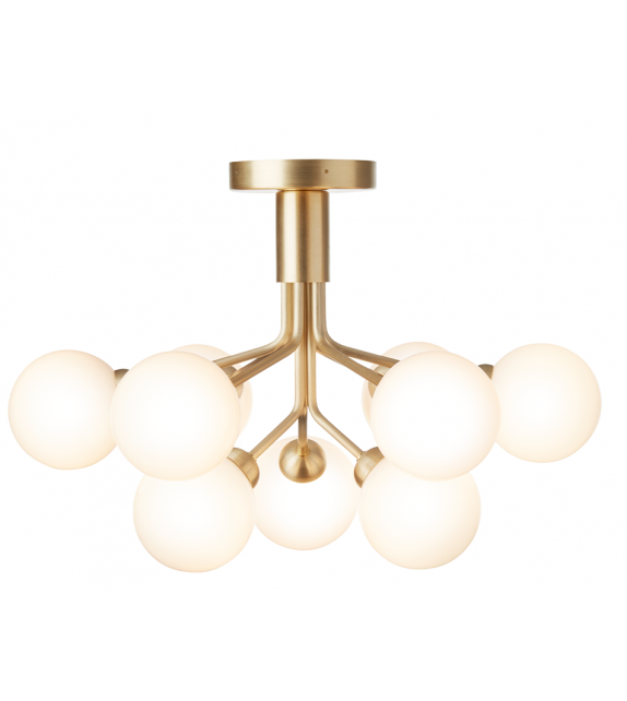 Apiales Nuura Lampada da Soffitto