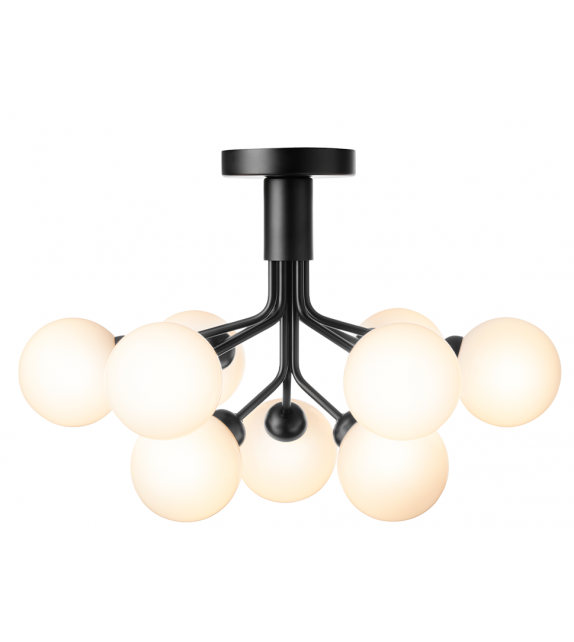 Apiales Nuura Ceiling Lamp