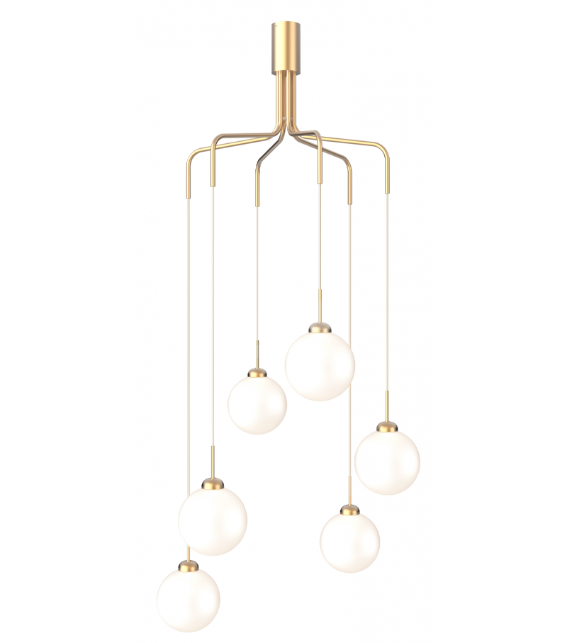 Apiales Nuura Lustre