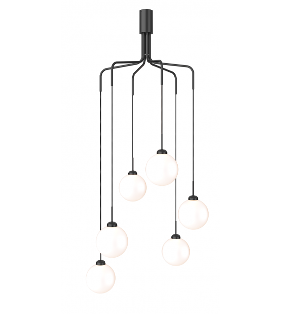 Apiales Nuura Candelabro