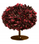 Bouquet Moroso Armchair