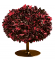 Bouquet Moroso Poltrona