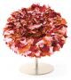 Bouquet Moroso Armchair
