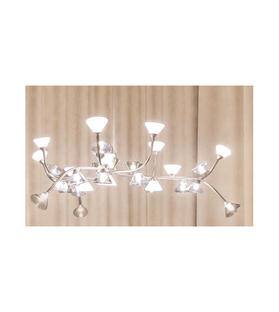 Listo para entregar - 565.13 Linfa Tooy Candelabro