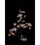 Bubbles Swirl Brand Van Egmond Chandelier