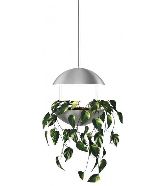 Cadovius Flower Dk3 Pendant Lamp