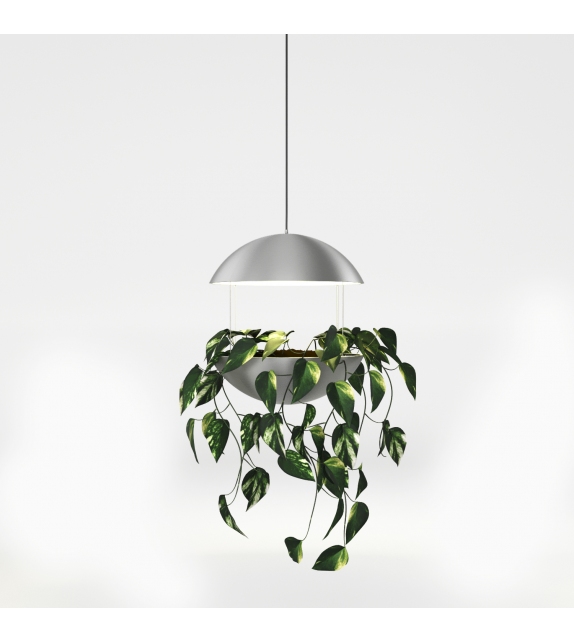 Cadovius Flower Dk3 Suspension