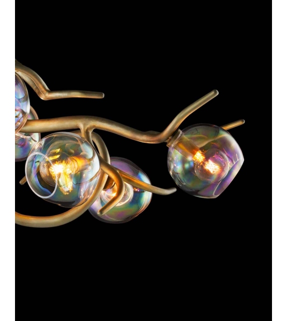 Ersa Oval Brand Van Egmond Chandelier