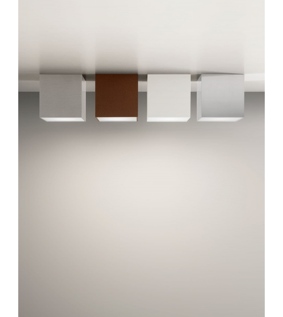 Box Small Olev Ceiling Lamp