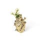 Love in Bloom Gold Vase Seletti
