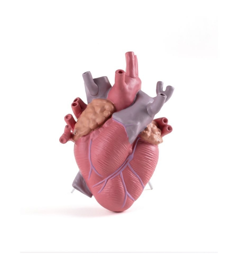 Love in Bloom Transparent Seletti Vase