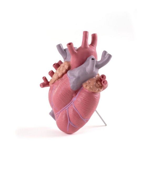 Love in Bloom Transparent Seletti Vaso