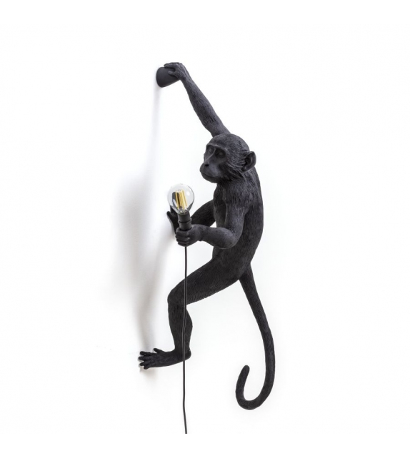 The Monkey Seletti Applique