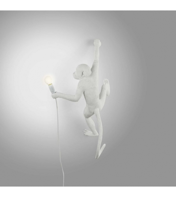 The Monkey Seletti Applique