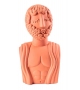 Magna Graecia Man Seletti Bust