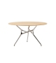 Branch Cappellini Table