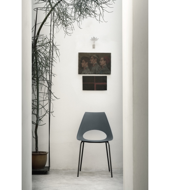 Shark Bontempi Chaise