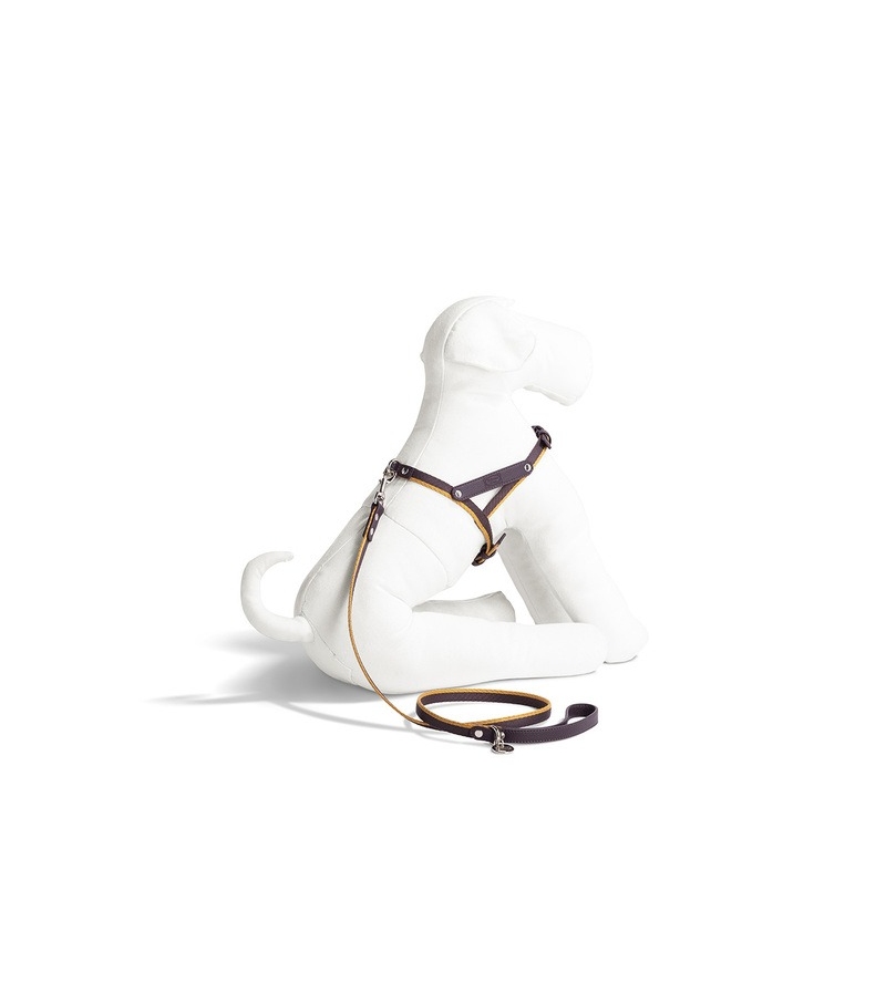 Harness Jacquard Poltrona Frau Aprovechar