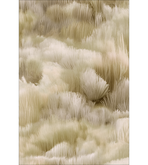 Beetle Dunes Moooi Tapis