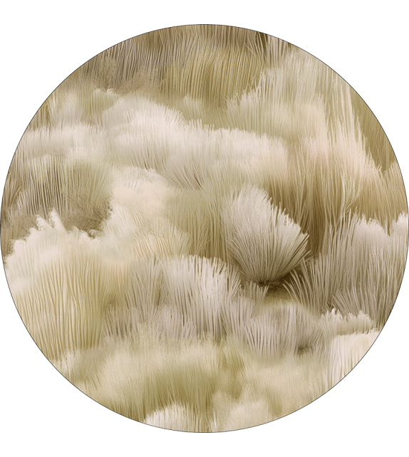 Beetle Dunes Moooi Rug