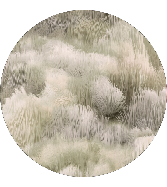 Beetle Dunes Moooi Tapis