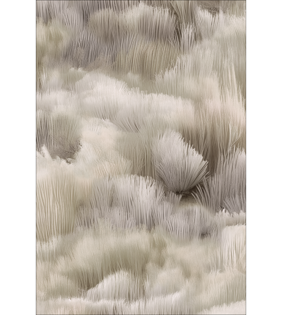 Beetle Dunes Moooi Tappeto