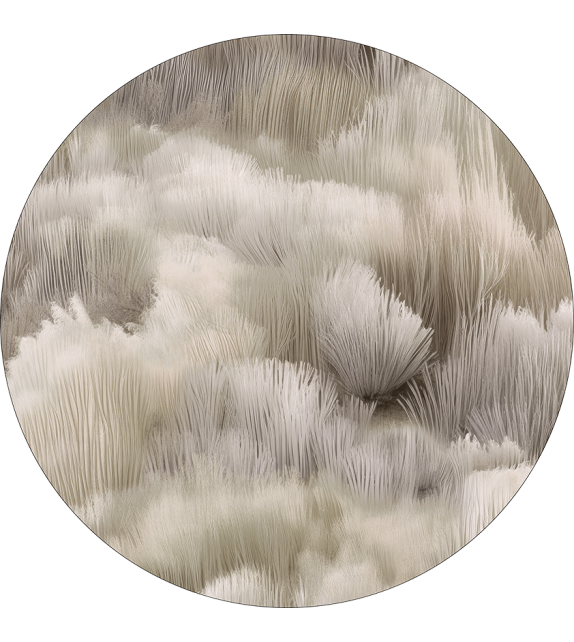 Beetle Dunes Moooi Teppich