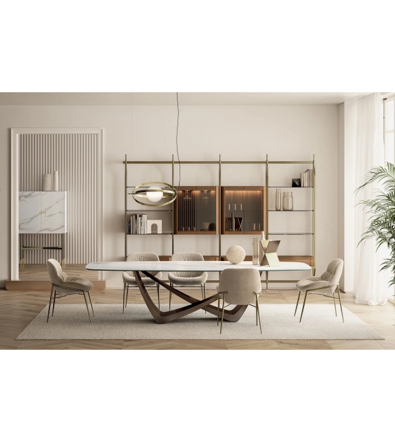 56.54 Papillon Bontempi Suspension