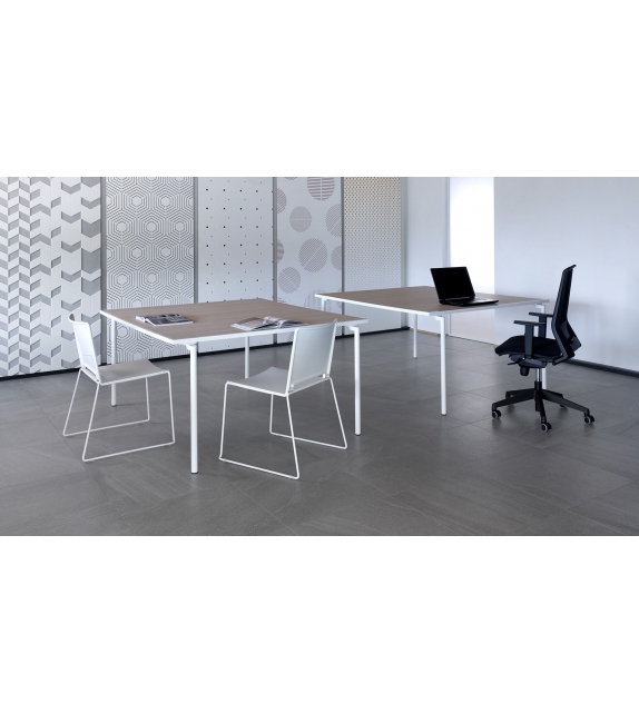 Spider Fas Pendenza Tennis de Table