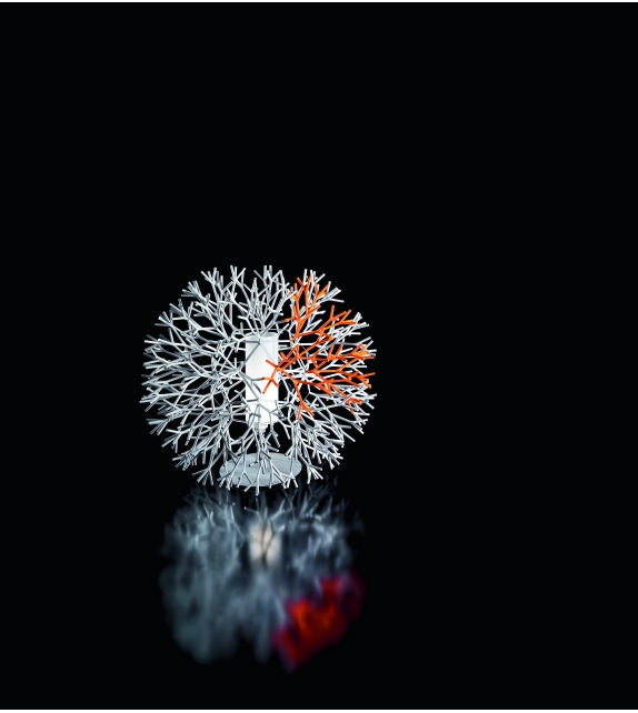 Coral Pallucco Stehleuchte/Tischleuchte