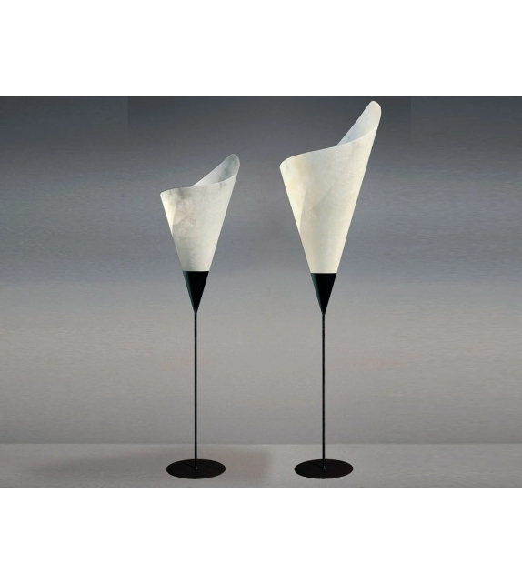 Calla Pallucco Stehleuchte