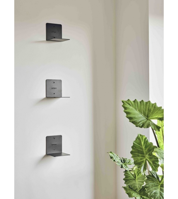 Minus Kriptonite Regal