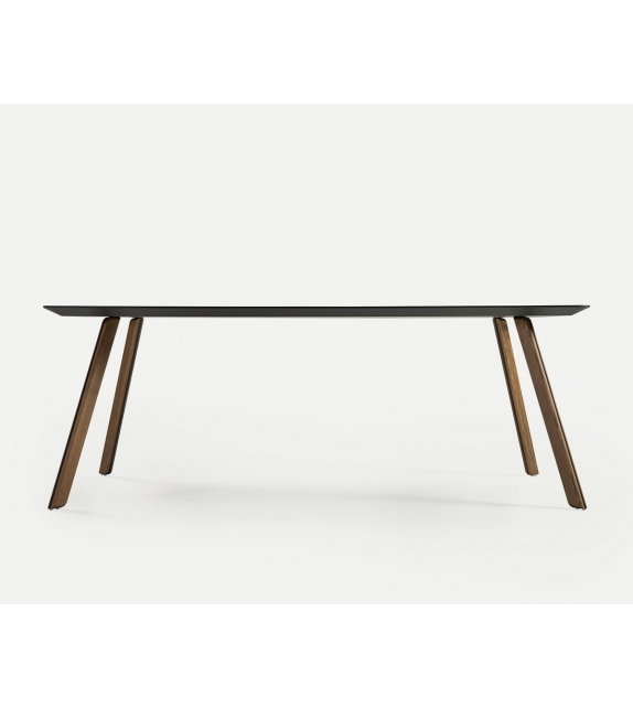 Tortuga Sancal Tisch