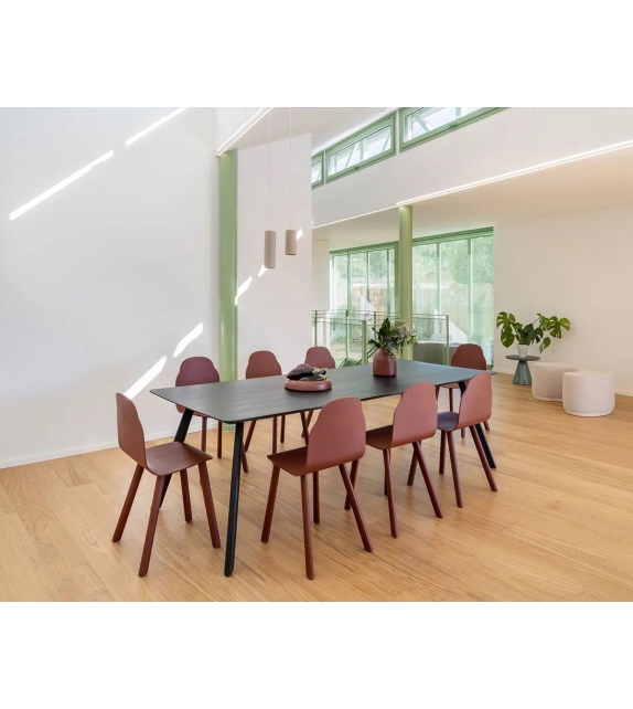 Tortuga Sancal Tisch