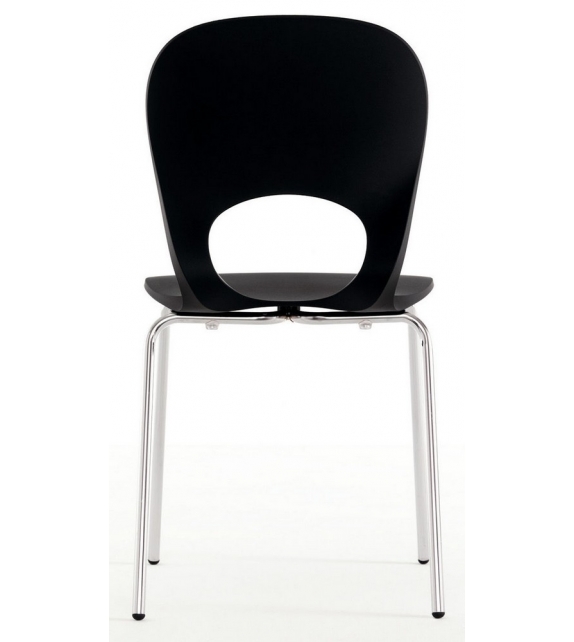 Pikaia Kristalia Sedia