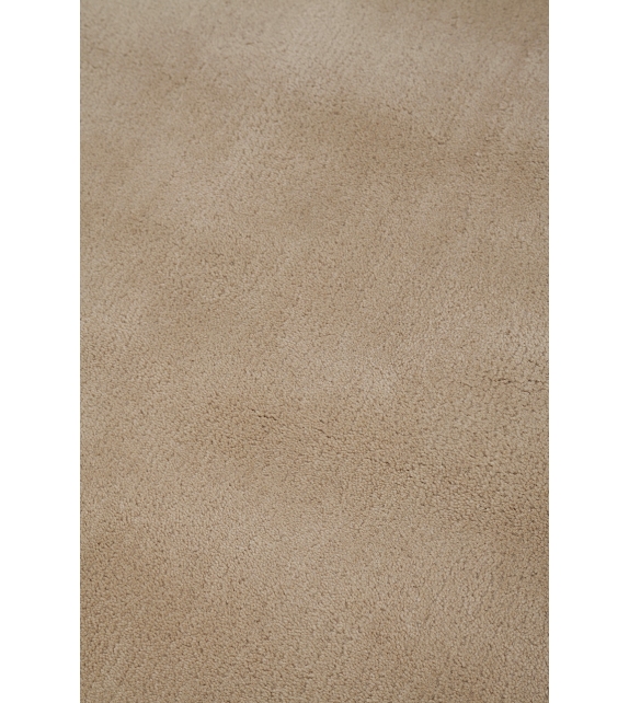 Ciclopi, Pietra Amini Tappeto