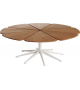 Petal Coffee Table Knoll