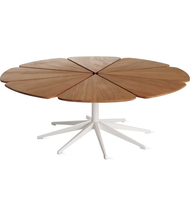 Petal Table Basse Knoll