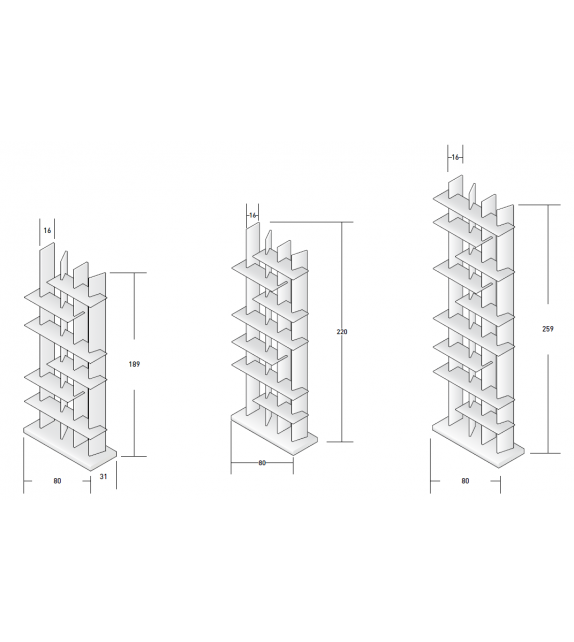 CClight Natevo Bookshelf